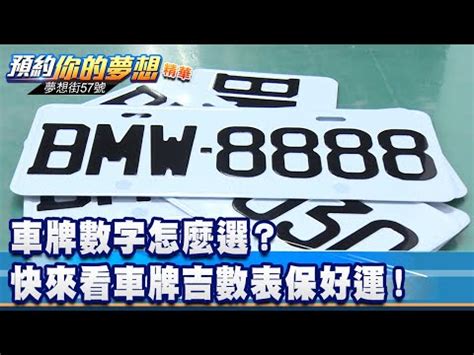 機車選牌吉凶|選車牌有訣竅